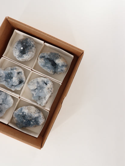 Celestite Clusters Set of 6 - Expert Wholesale and Supplier of Wholesale Crystals & Bulk Gemstones, []