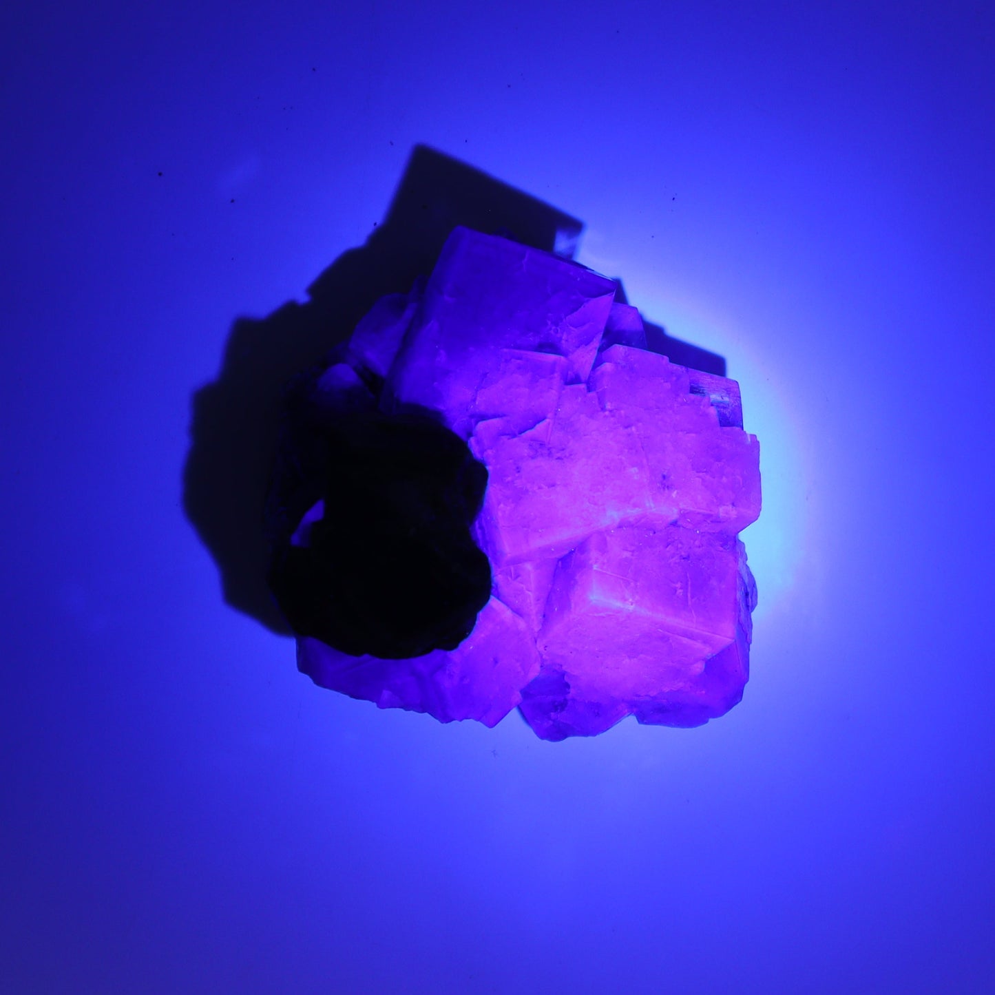 Fluorite Purple Rain Pocket Set of 8 - Expert Wholesale and Supplier of Wholesale Crystals & Bulk Gemstones, ["close_50","England","Fluorite","Purple Rain Pocket","Rough"]