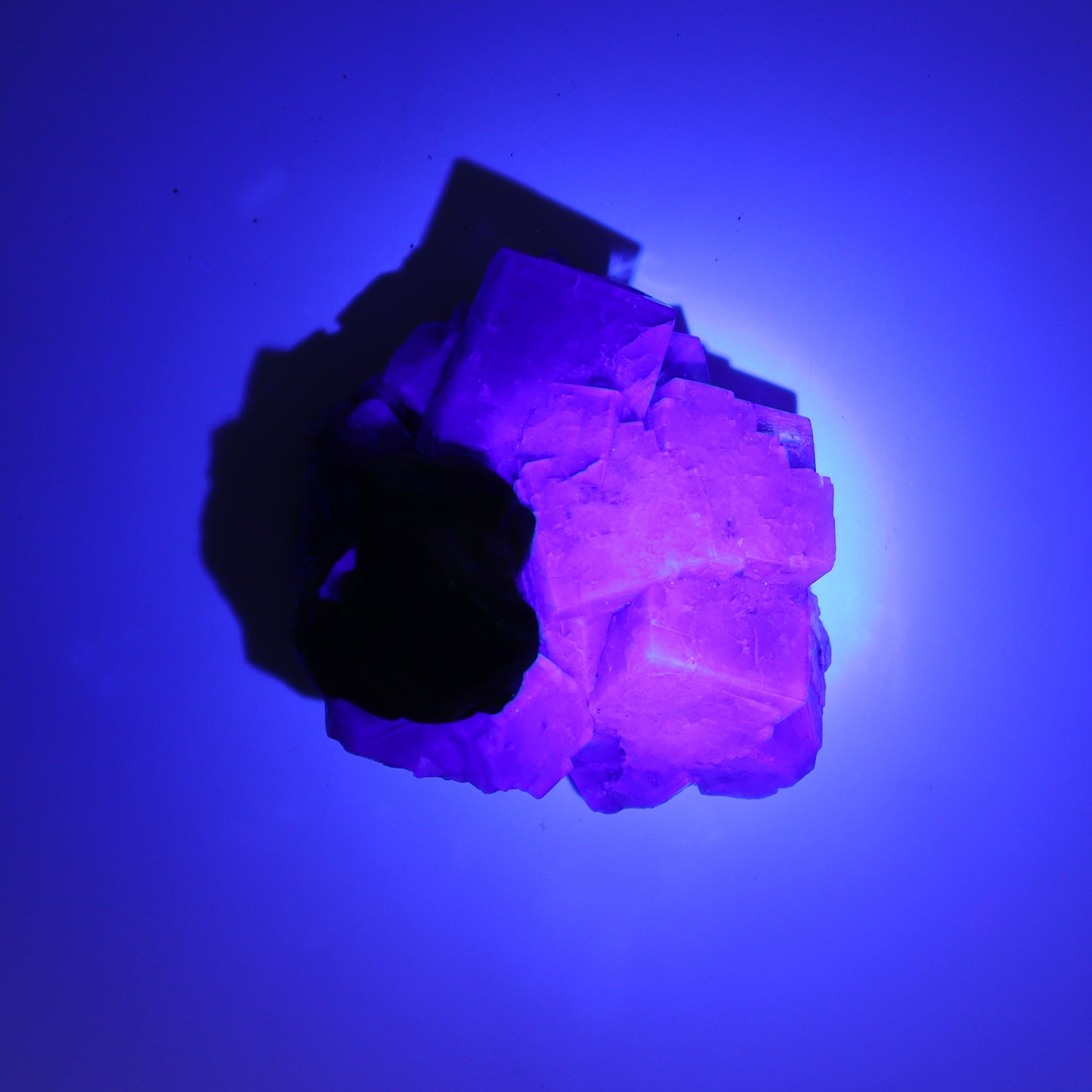Fluorite Purple Rain Pocket Set of 8 - Expert Wholesale and Supplier of Wholesale Crystals & Bulk Gemstones, ["close_50","England","Fluorite","Purple Rain Pocket","Rough"]