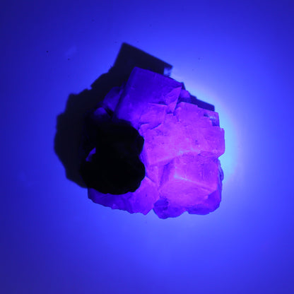 Fluorite Purple Rain Pocket Set of 8 - Expert Wholesale and Supplier of Wholesale Crystals & Bulk Gemstones, ["close_50","England","Fluorite","Purple Rain Pocket","Rough"]