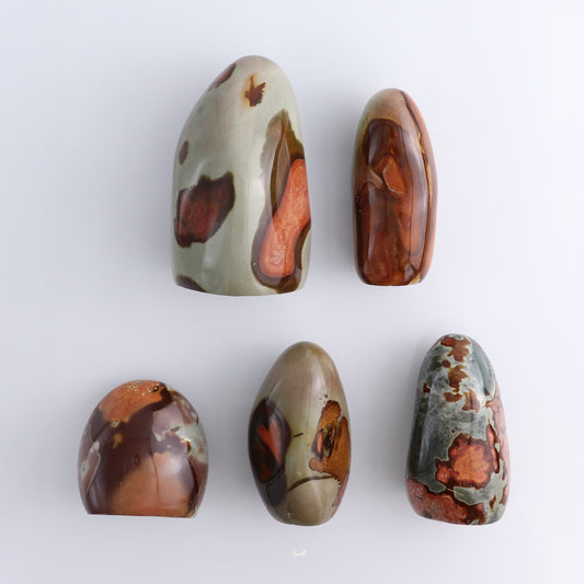 Polychrome Jasper Freeforms Set of 5