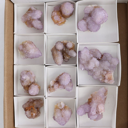 Cactus Quartz Set of 11