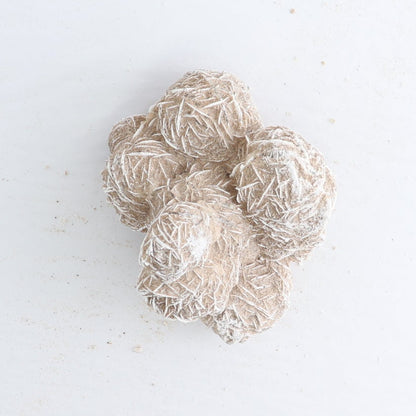 Desert Rose Set of 4