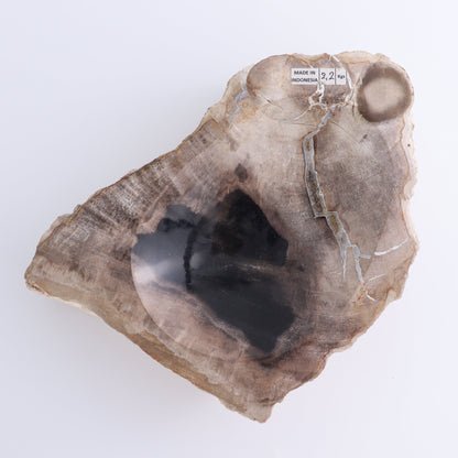 Petrified Wood Bowls Set of 2 - Expert Wholesale and Supplier of Wholesale Crystals & Bulk Gemstones, ["Bowls","Indonesia","Petrified Wood"]