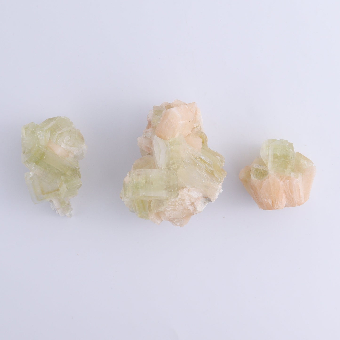 Apophyllite Clusters Flat of 12