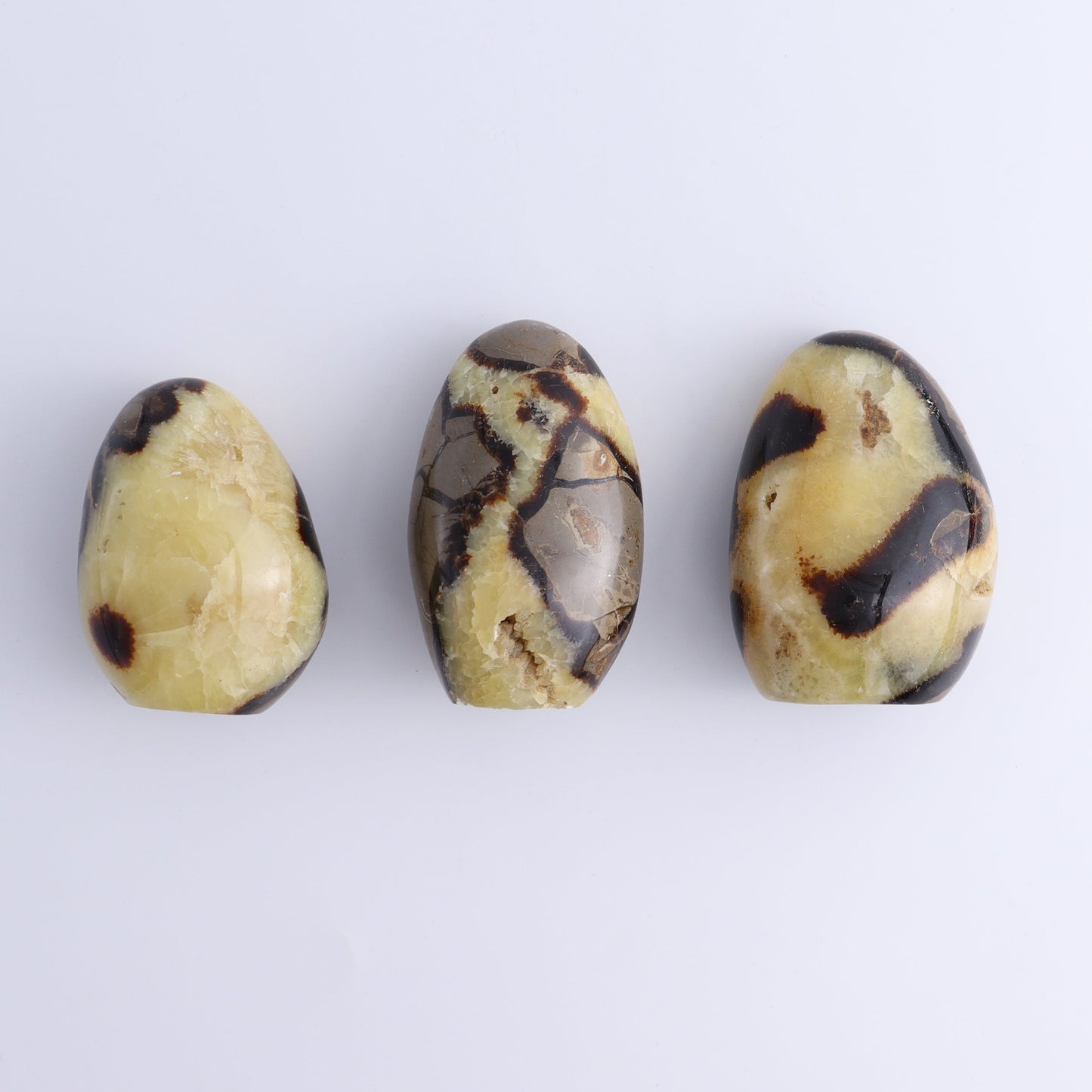 Septarian Freeforms Set of 12 - Expert Wholesale and Supplier of Wholesale Crystals & Bulk Gemstones, ["Freeforms","Madagascar","Septarian"]