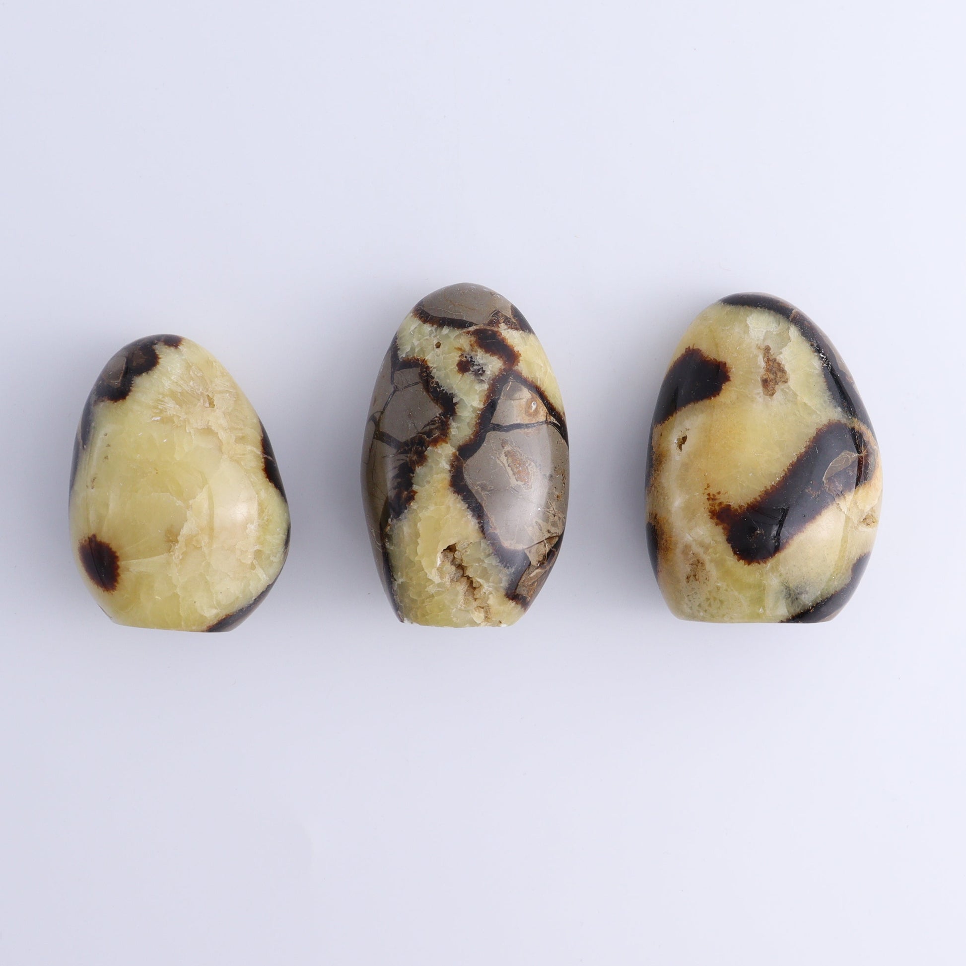 Septarian Freeforms Set of 12 - Expert Wholesale and Supplier of Wholesale Crystals & Bulk Gemstones, ["Freeforms","Madagascar","Septarian"]