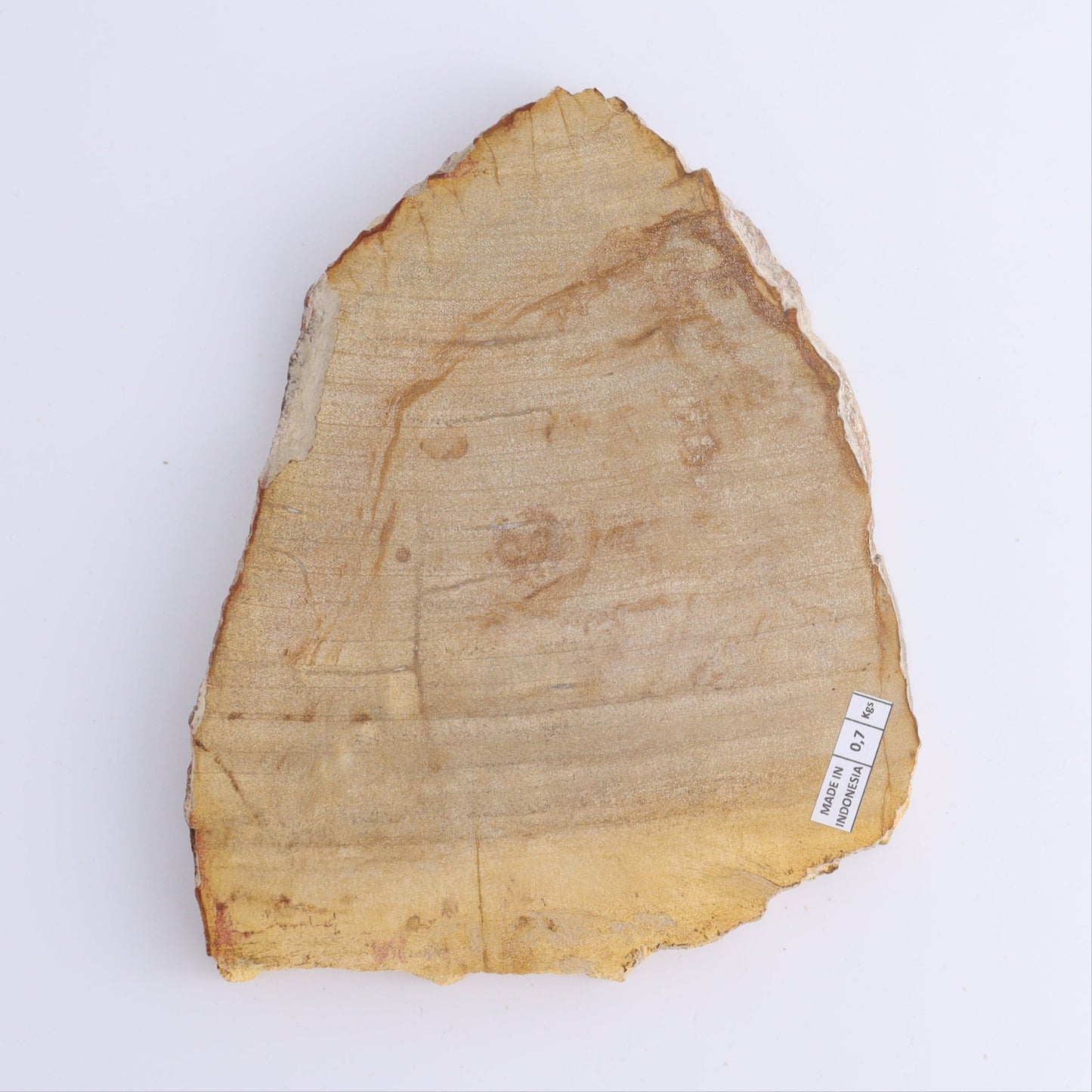 Petrified Wood Slices & Slabs Set of 3 - Expert Wholesale and Supplier of Wholesale Crystals & Bulk Gemstones, ["Freeforms","Indonesia","Petrified Wood","Slices and Slabs"]