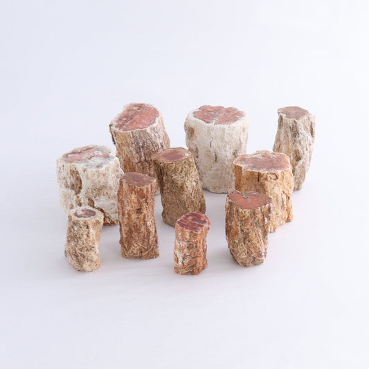 Petrified Wood Cut Bases Set of 10 - Expert Wholesale and Supplier of Wholesale Crystals & Bulk Gemstones, ["Cut Base","Petrified Wood"]