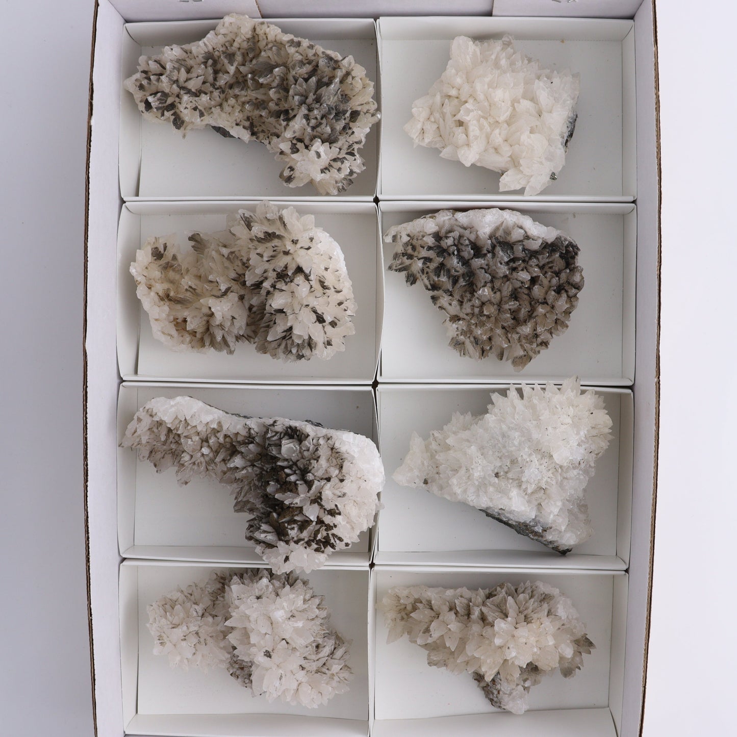 UV Reactive Calcite Flat Set of 8 - Expert Wholesale and Supplier of Wholesale Crystals & Bulk Gemstones, ["Calcite","Freeform","Freeforms","Mexico"]