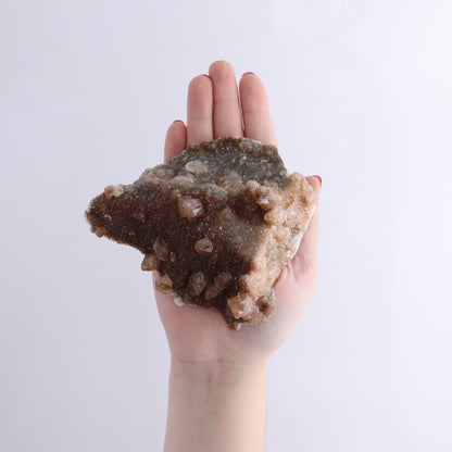 Calcite Flat of 4 - Expert Wholesale and Supplier of Wholesale Crystals & Bulk Gemstones, ["Calcite","close_70","Flats","Mexico"]