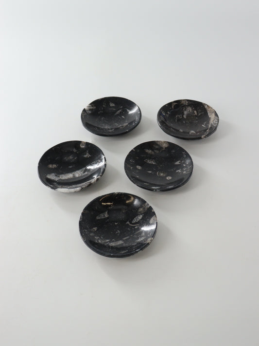 Round Fossil Dishes Set of 5