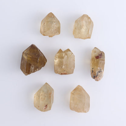 Citrine Roughs Set of 7