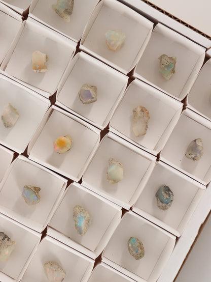Ethiopian Opal Flat Set of 54 - Expert Wholesale and Supplier of Wholesale Crystals & Bulk Gemstones, []
