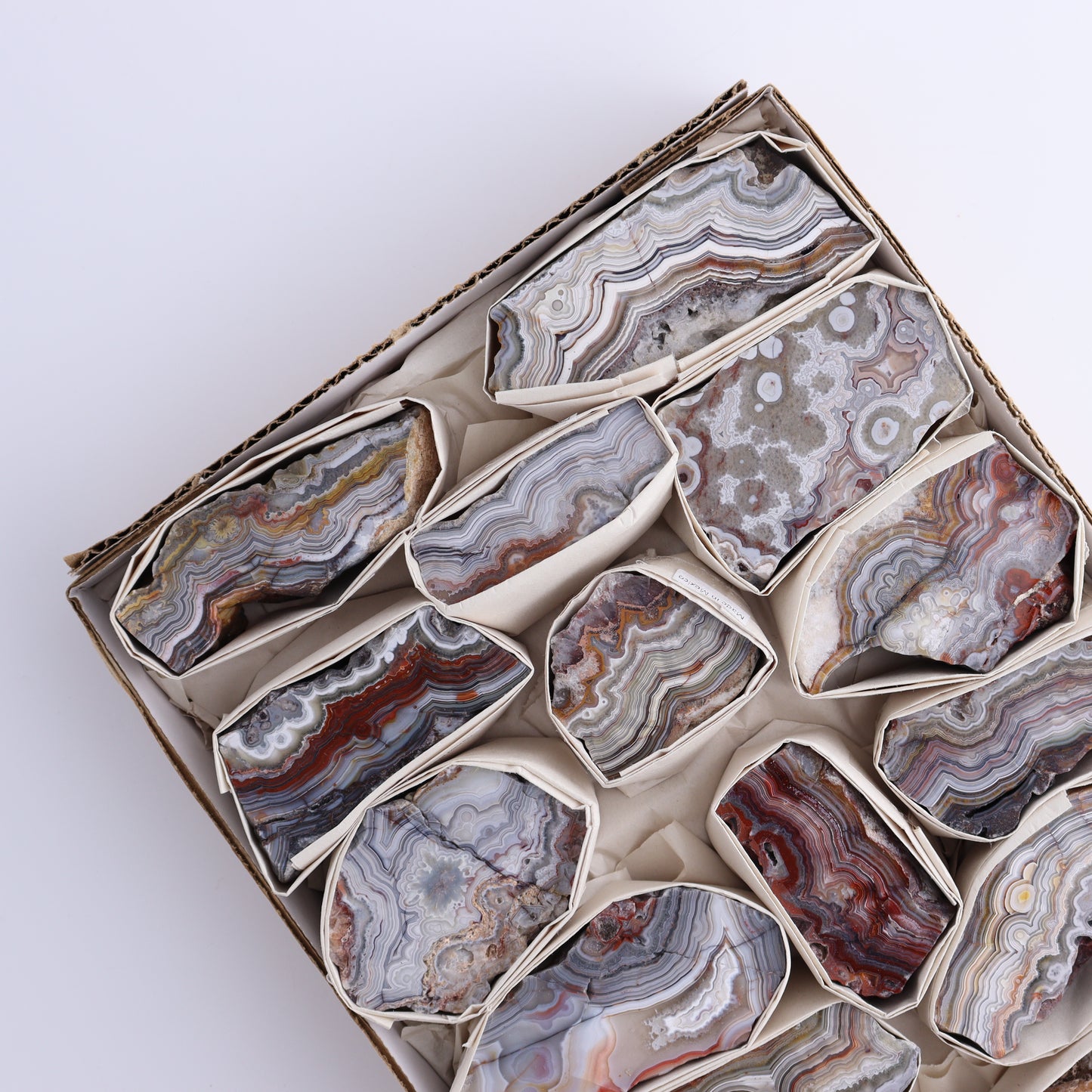 Crazy Lace Agate Flat of 15 - Expert Wholesale and Supplier of Wholesale Crystals & Bulk Gemstones, ["Crazy Lace Agate","Mexico"]