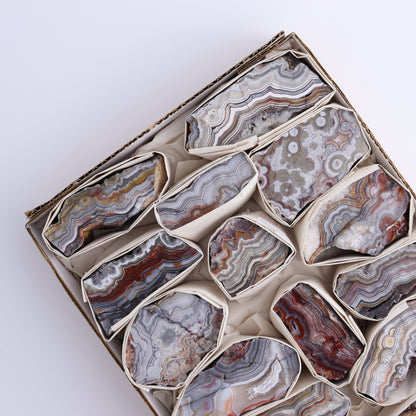Crazy Lace Agate Flat of 15 - Expert Wholesale and Supplier of Wholesale Crystals & Bulk Gemstones, ["Crazy Lace Agate","Mexico"]