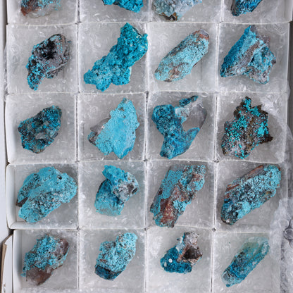 Chrysocolla on Quartz Roughs Set of 24 - Expert Wholesale and Supplier of Wholesale Crystals & Bulk Gemstones, ["Chrysocolla","Flats","Freeforms","Peru","Quartz","Rough"]
