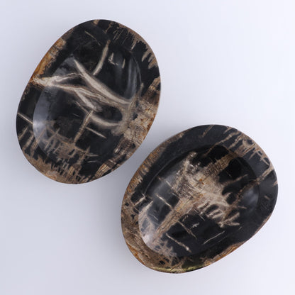 One Petrified Wood Black Polished Bowl
