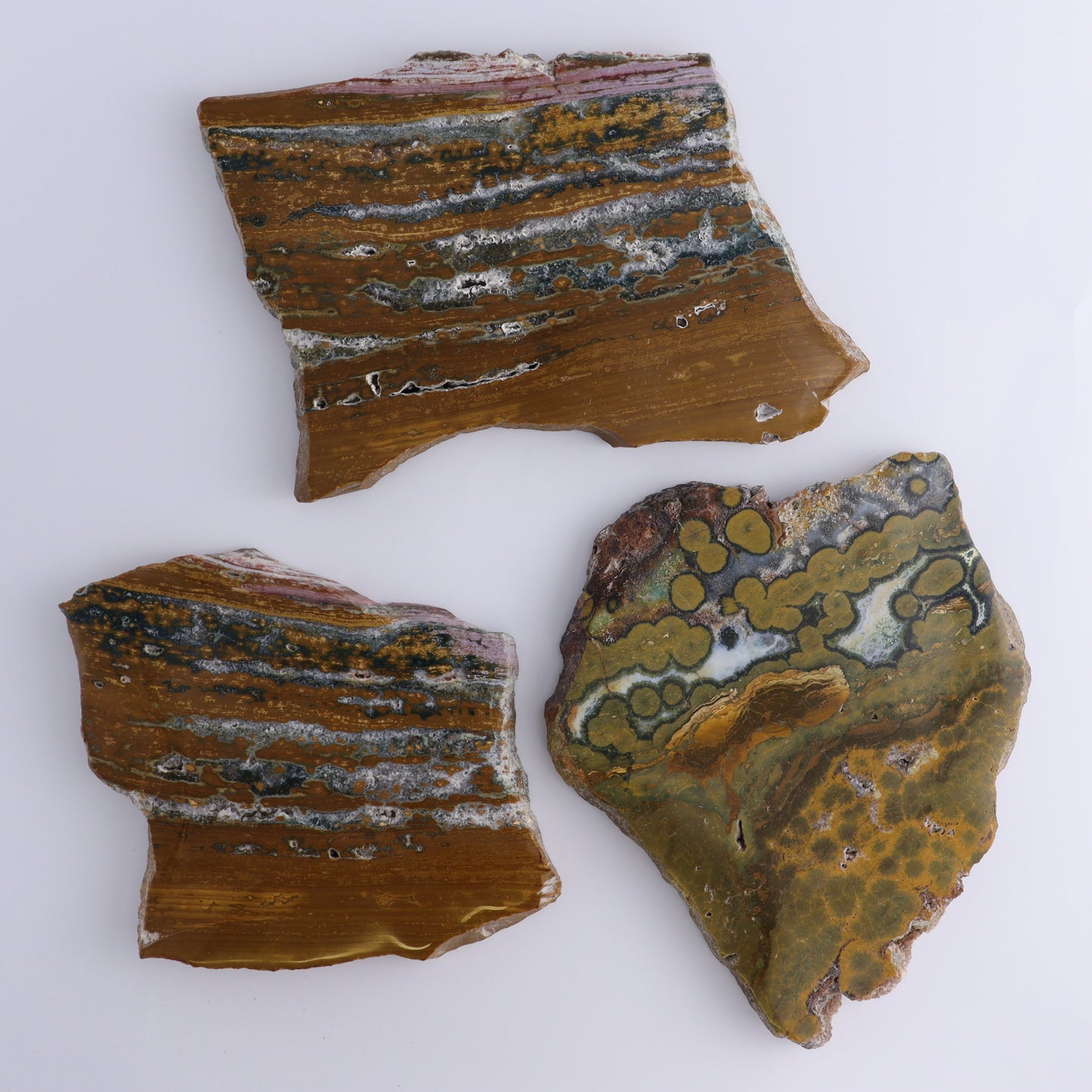 Ocean Jasper Slices & Slabs Set of 3 - Expert Wholesale and Supplier of Wholesale Crystals & Bulk Gemstones, ["close_50","Freeforms","jasper","Ocean Jasper"]