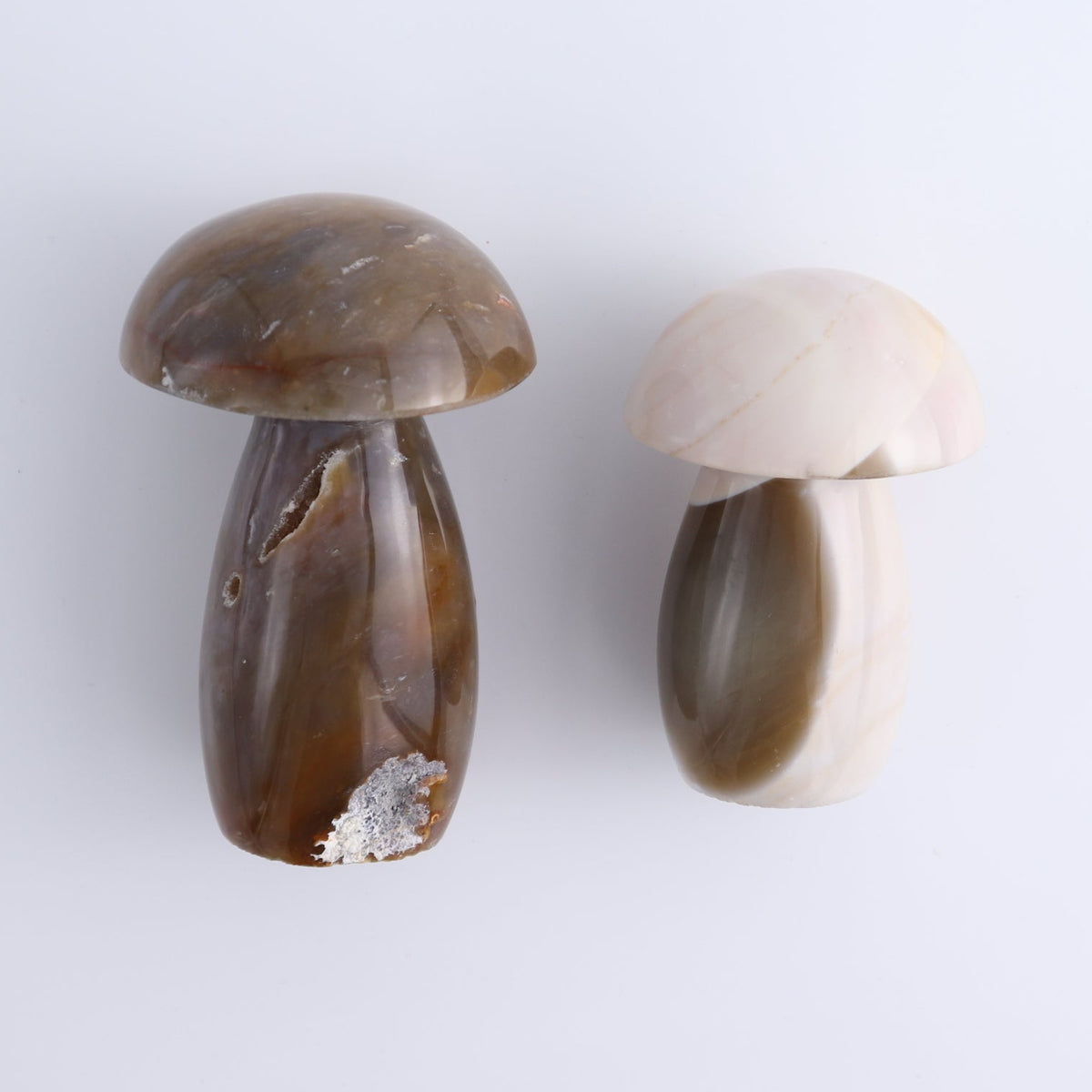 Jasper Mushrooms Set of 8