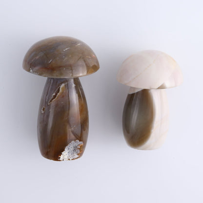 Jasper Mushrooms Set of 8