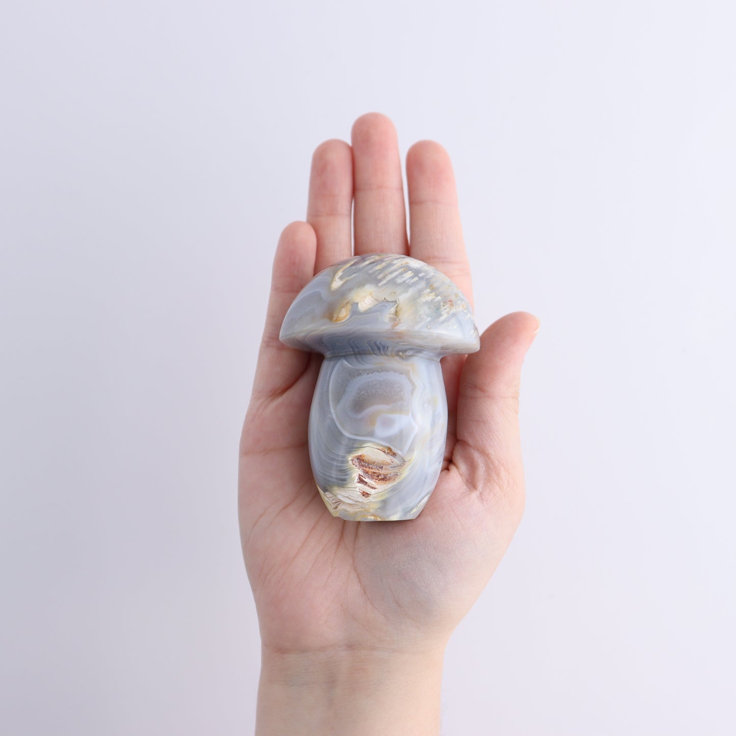 Agate Mushrooms Set of 5 - Expert Wholesale and Supplier of Wholesale Crystals & Bulk Gemstones, ["Agate","Madagascar","Mushrooms"]