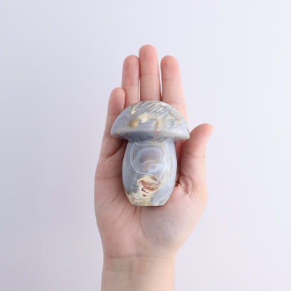 Agate Mushrooms Set of 5 - Expert Wholesale and Supplier of Wholesale Crystals & Bulk Gemstones, ["Agate","Madagascar","Mushrooms"]