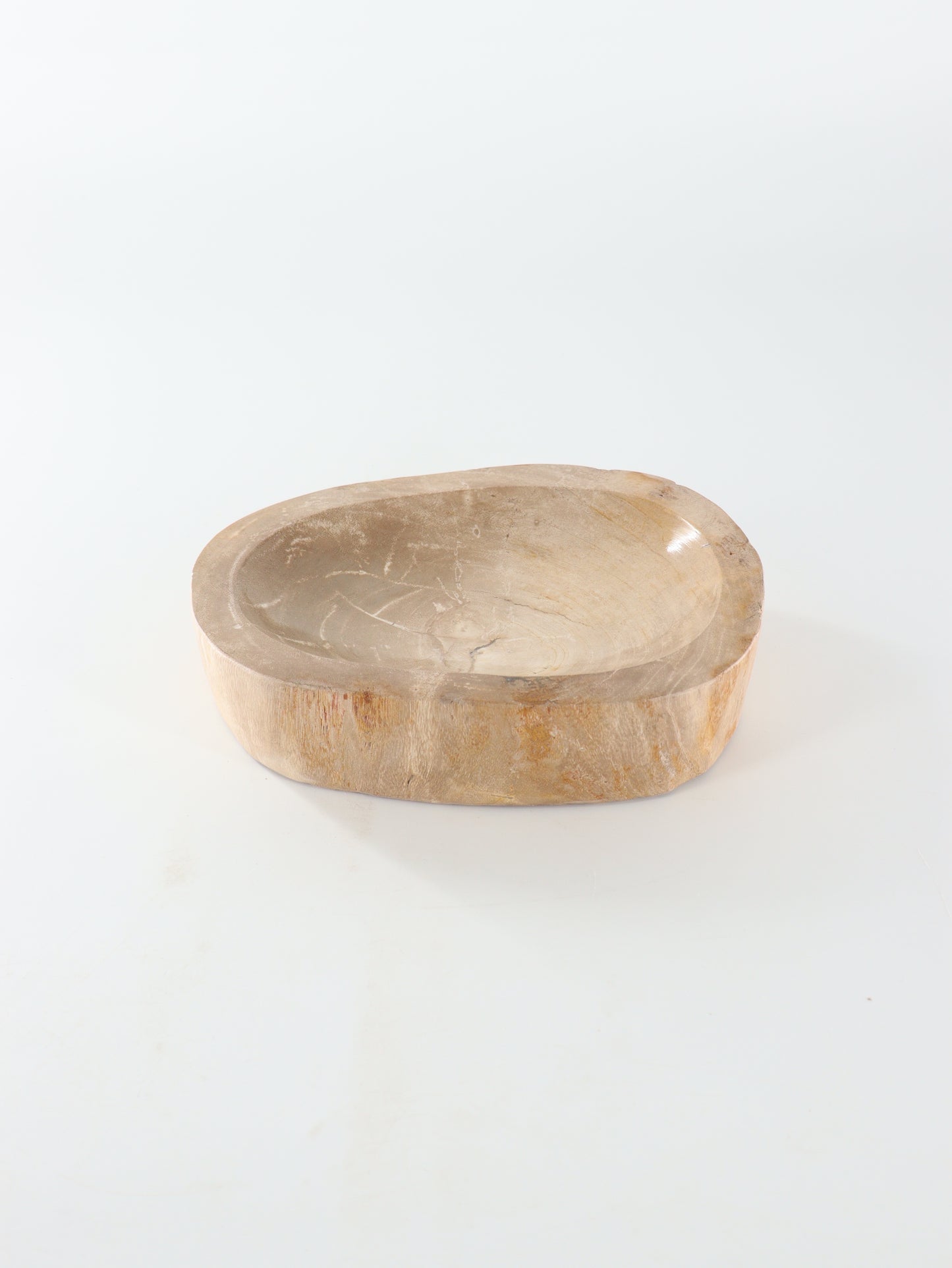 Petrified Wood Bowl - Expert Supplier of Wholesale Crystals & Bulk Gemstones