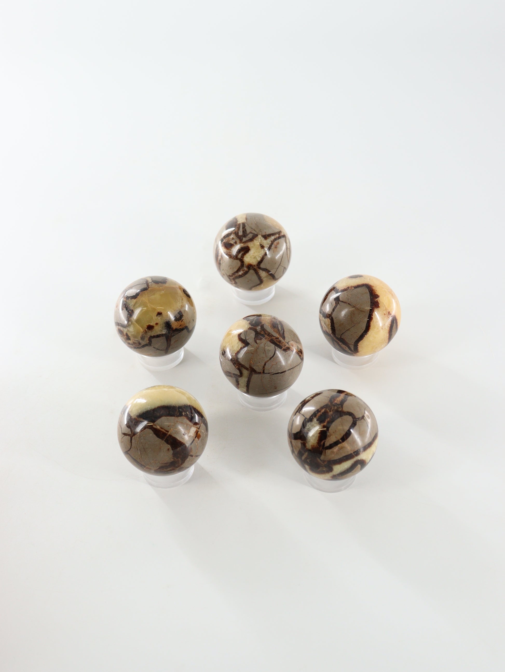 Septarian Spheres Set of 6 - Expert Supplier of Wholesale Crystals & Bulk Gemstones