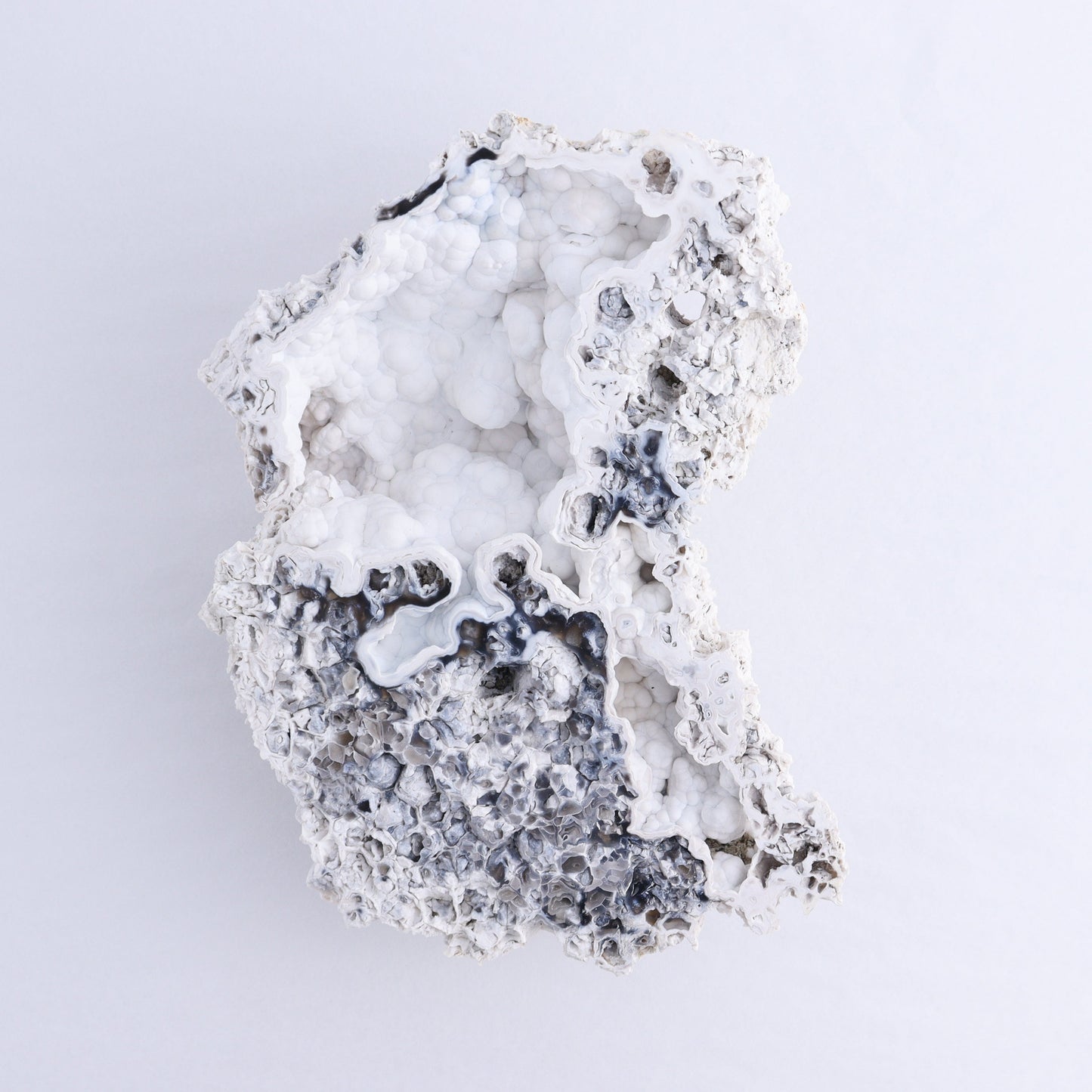 Agatized Coral Flat - Expert Wholesale and Supplier of Wholesale Crystals & Bulk Gemstones, ["Agate","Agatized Coral","Coral","United States"]