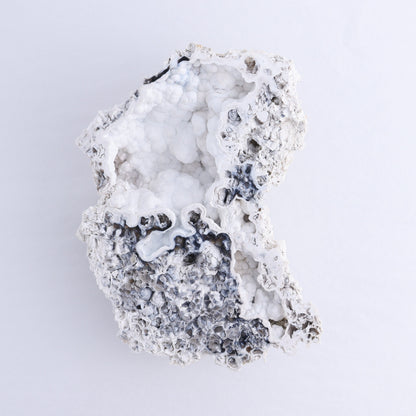 Agatized Coral Flat - Expert Wholesale and Supplier of Wholesale Crystals & Bulk Gemstones, ["Agate","Agatized Coral","Coral","United States"]