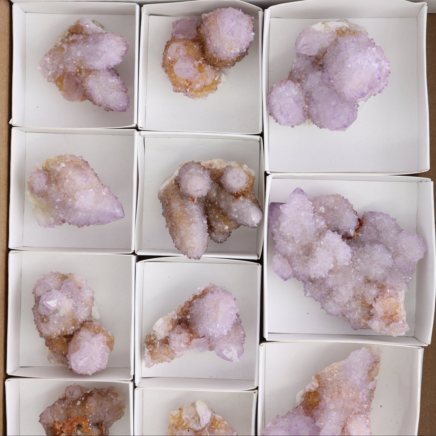 Cactus Quartz Set of 11