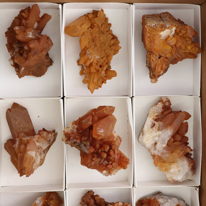 Dark Tangerine Quartz Clusters Set of 9 - Expert Wholesale and Supplier of Wholesale Crystals & Bulk Gemstones, ["Clusters","Quartz","Tangerine Quartz"]