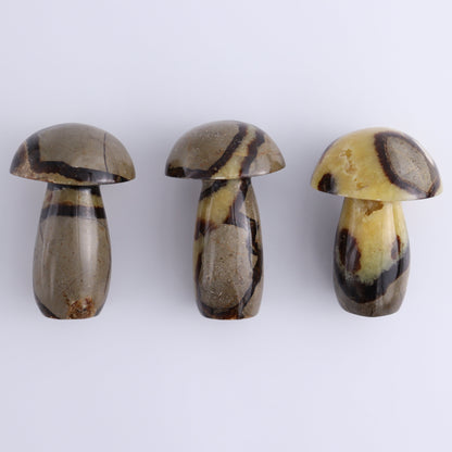 Septarian Mushrooms Set of 6 - Expert Wholesale and Supplier of Wholesale Crystals & Bulk Gemstones, ["Mushrooms","Septarian"]