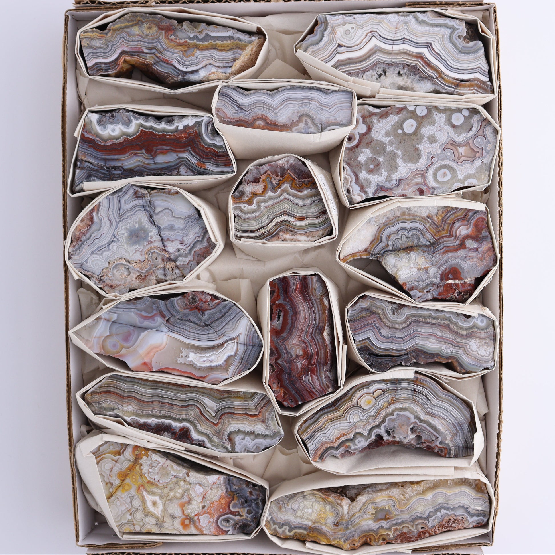 Crazy Lace Agate Flat of 15 - Expert Wholesale and Supplier of Wholesale Crystals & Bulk Gemstones, ["Crazy Lace Agate","Mexico"]