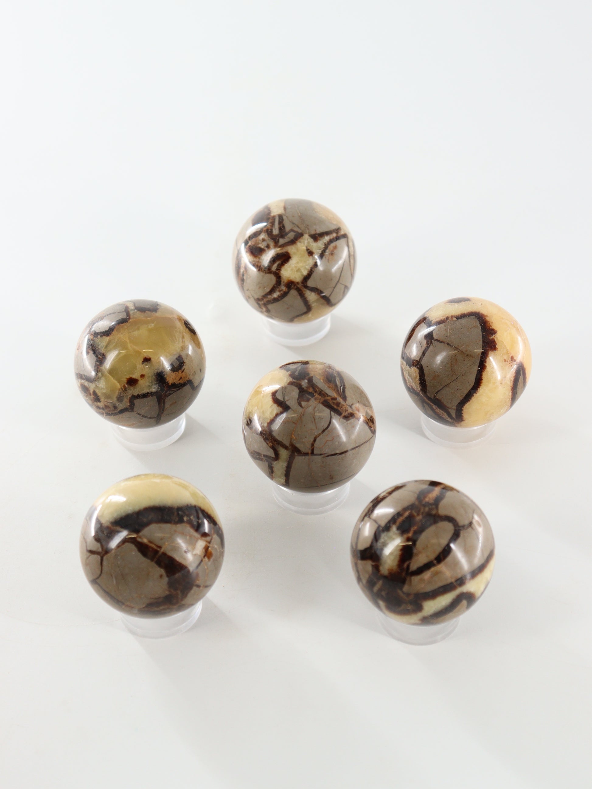 Septarian Spheres Set of 6 - Expert Supplier of Wholesale Crystals & Bulk Gemstones