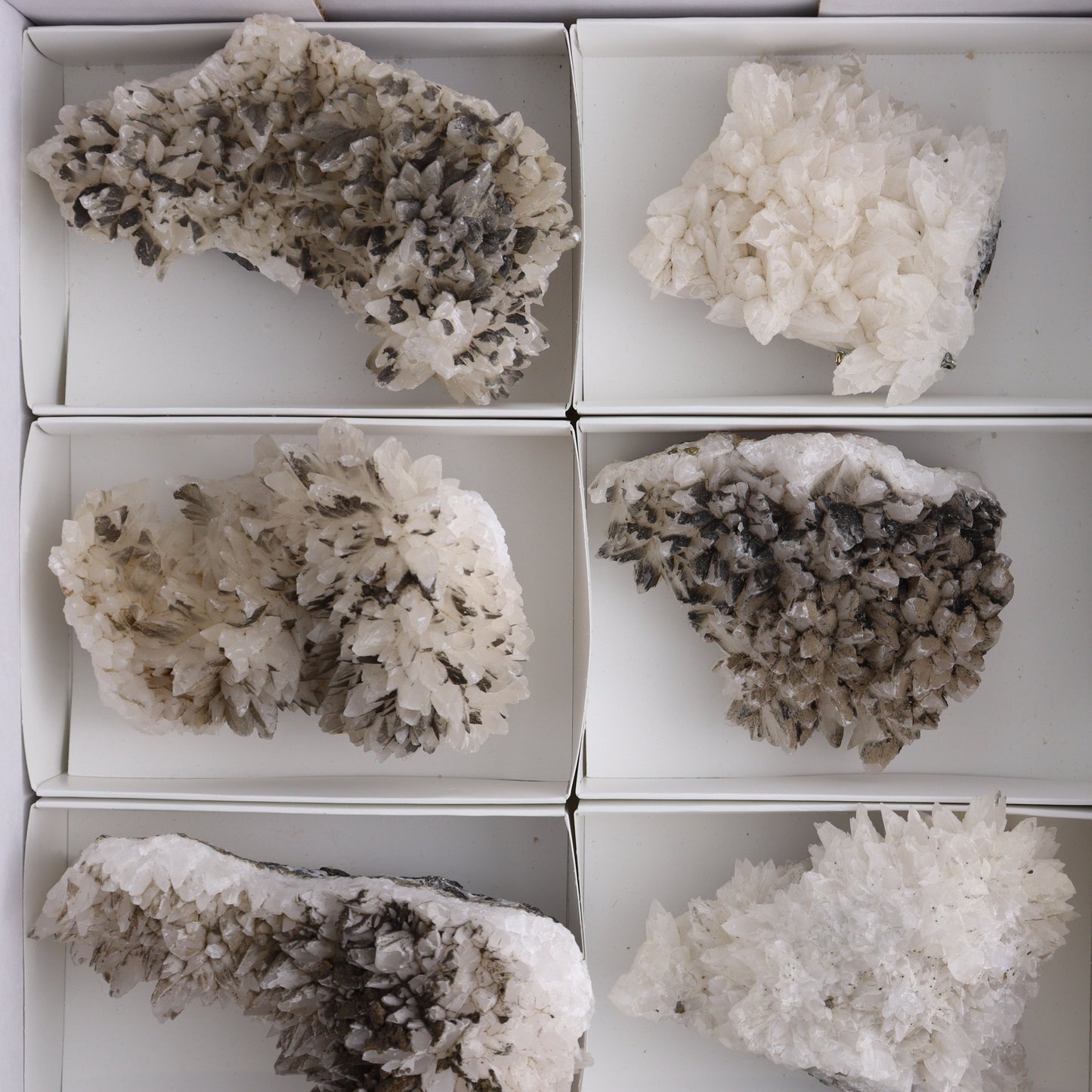 UV Reactive Calcite Flat Set of 8 - Expert Wholesale and Supplier of Wholesale Crystals & Bulk Gemstones, ["Calcite","Freeform","Freeforms","Mexico"]