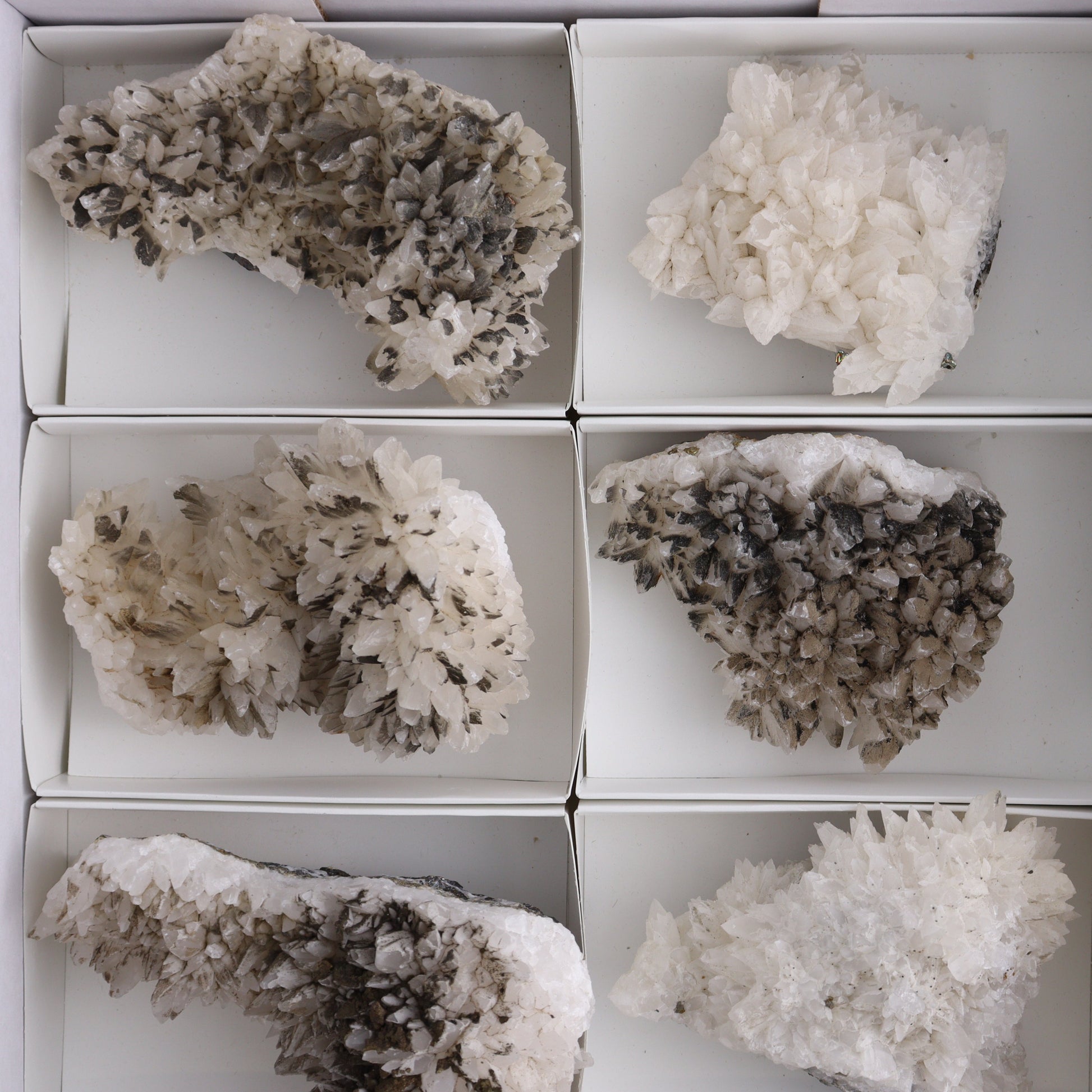 UV Reactive Calcite Flat Set of 8 - Expert Wholesale and Supplier of Wholesale Crystals & Bulk Gemstones, ["Calcite","Freeform","Freeforms","Mexico"]