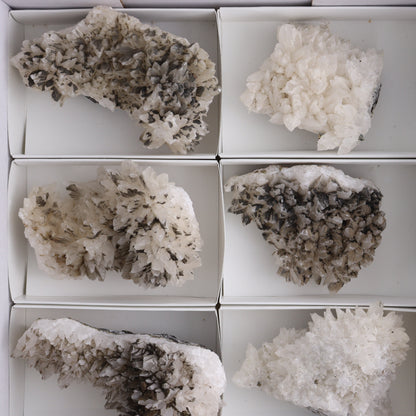 UV Reactive Calcite Flat Set of 8 - Expert Wholesale and Supplier of Wholesale Crystals & Bulk Gemstones, ["Calcite","Freeform","Freeforms","Mexico"]