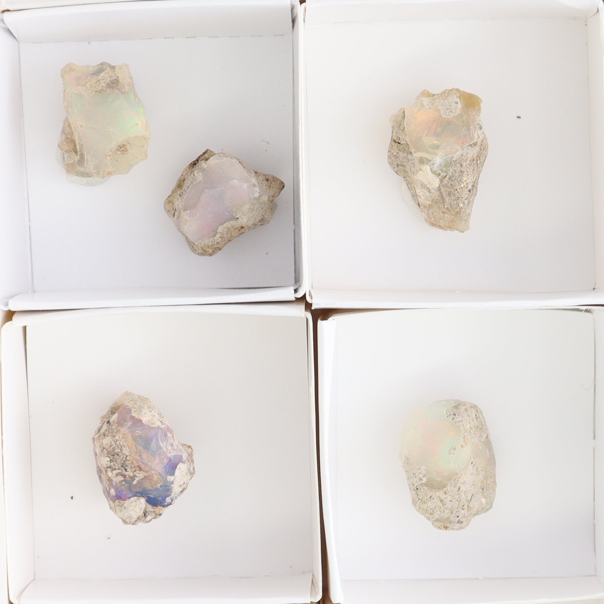 Ethiopian Opal Set of 11 - Expert Wholesale and Supplier of Wholesale Crystals & Bulk Gemstones, ["Ethiopia","ethiopian opal","Opal"]