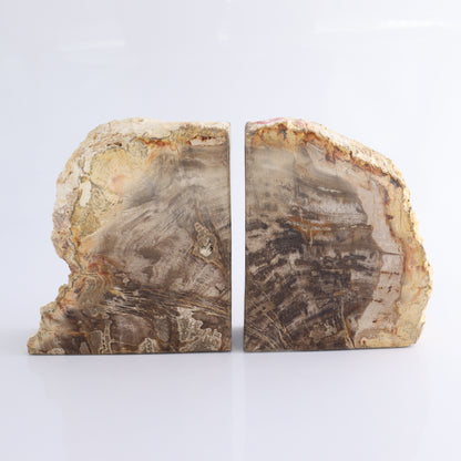 Bookends Petrified Wood - Expert Wholesale and Supplier of Wholesale Crystals & Bulk Gemstones, ["Bookends","Indonesia","Petrified Wood"]