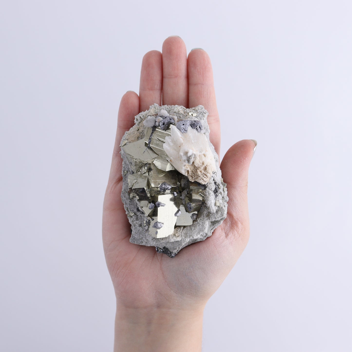 Pyrite Flat of 12 - Expert Wholesale and Supplier of Wholesale Crystals & Bulk Gemstones, ["flat","Flats","Pyrite"]