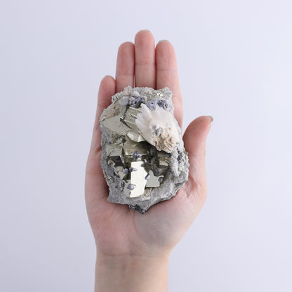 Pyrite Flat of 12 - Expert Wholesale and Supplier of Wholesale Crystals & Bulk Gemstones, ["flat","Flats","Pyrite"]