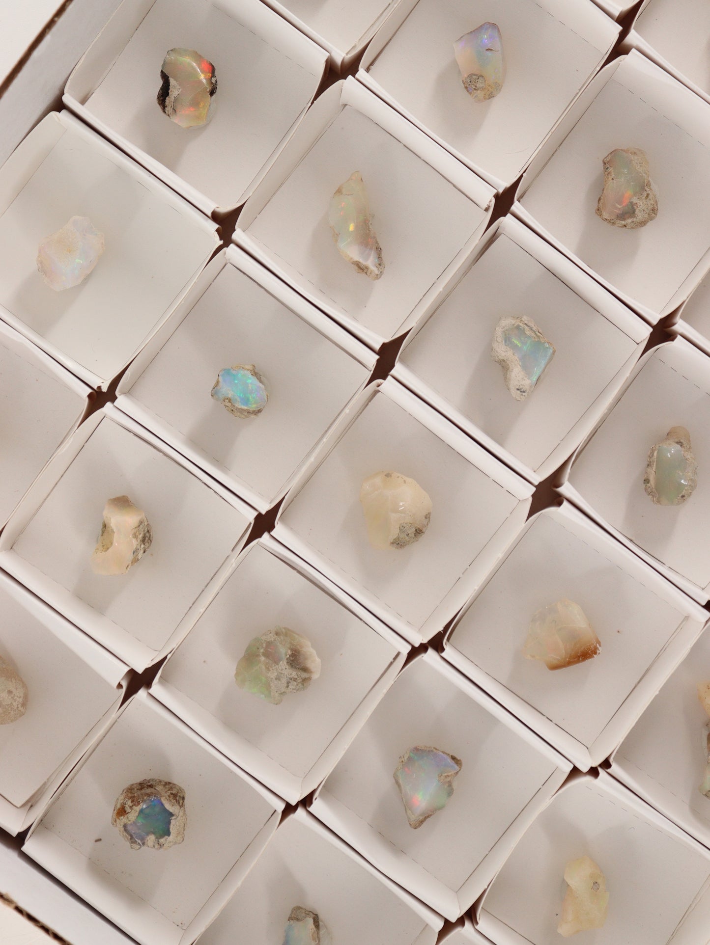 Ethiopian Opal Flat Set of 54 - Expert Wholesale and Supplier of Wholesale Crystals & Bulk Gemstones, []