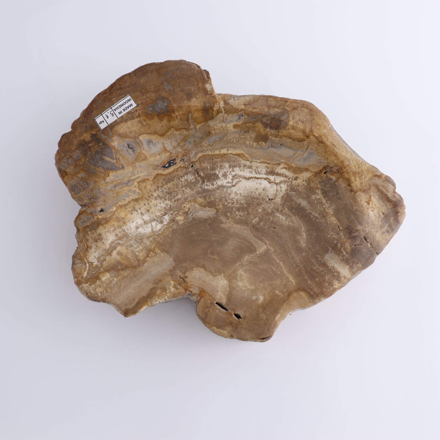 Bowl Petrified Wood - Expert Wholesale and Supplier of Wholesale Crystals & Bulk Gemstones, ["Bowls","Indonesia","Petrified Wood"]