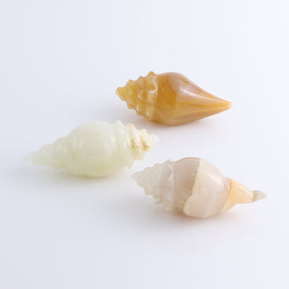 One Mexican Onyx/Calcite Shell Cut Base Beige/Honey