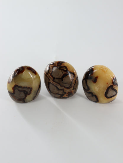 Septarian Freeforms Set of 12 - Expert Wholesale and Supplier of Wholesale Crystals & Bulk Gemstones, []