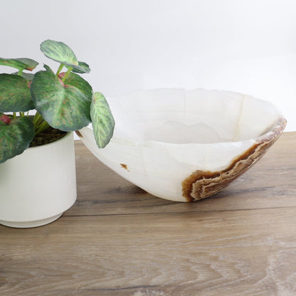 Mexican Onyx/Calcite Bowl 10"