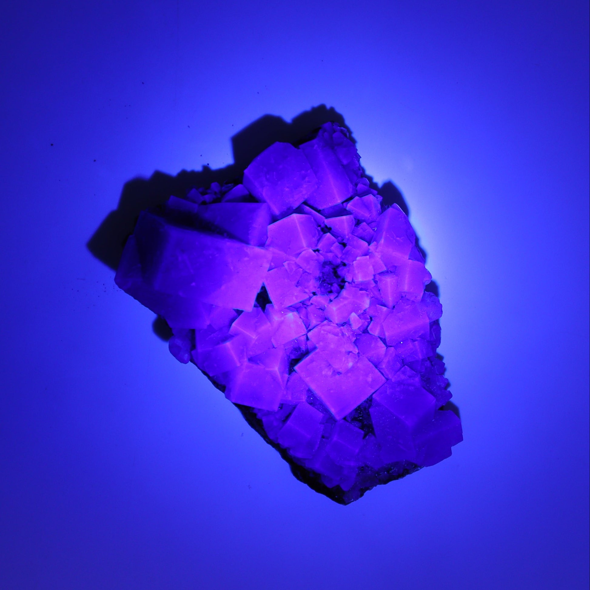 Fluorite Purple Rain Pocket Set of 8 - Expert Wholesale and Supplier of Wholesale Crystals & Bulk Gemstones, ["close_50","England","Fluorite","Purple Rain Pocket","Rough"]