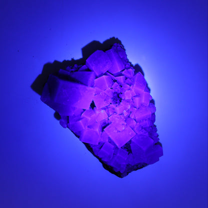 Fluorite Purple Rain Pocket Set of 8 - Expert Wholesale and Supplier of Wholesale Crystals & Bulk Gemstones, ["close_50","England","Fluorite","Purple Rain Pocket","Rough"]